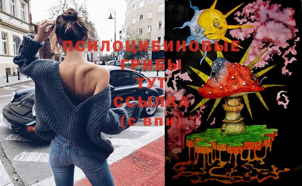 дживик Санкт-Петербург