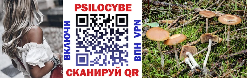 Псилоцибиновые грибы Psilocybine cubensis  купить  цена  Абаза 