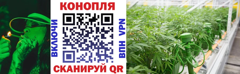 Конопля White Widow  mega как войти  Абаза  дарнет шоп 